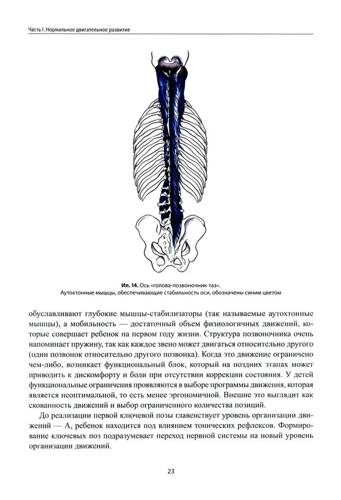 Не сидит, не ползет. Что делать?