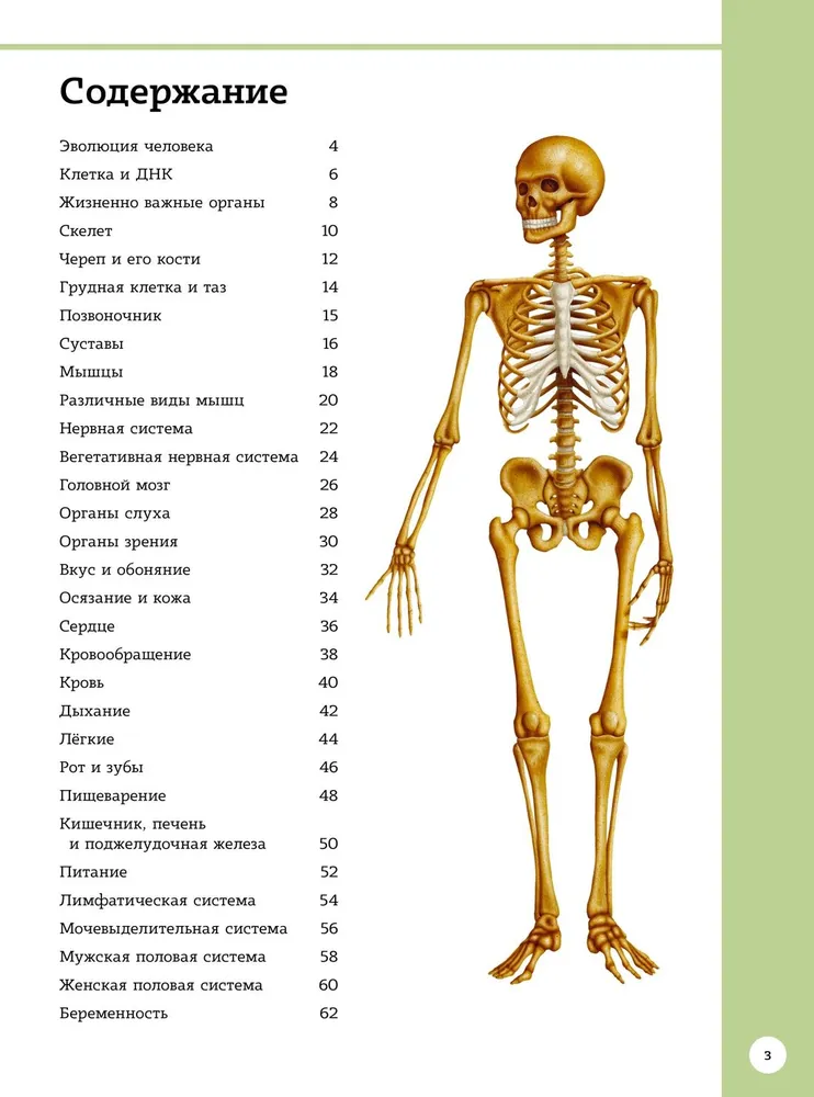 Первый атлас анатомии человека