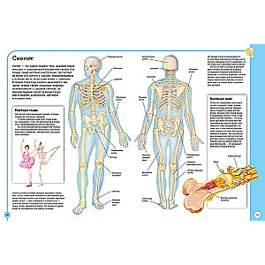 Pierwszy atlas anatomii człowieka