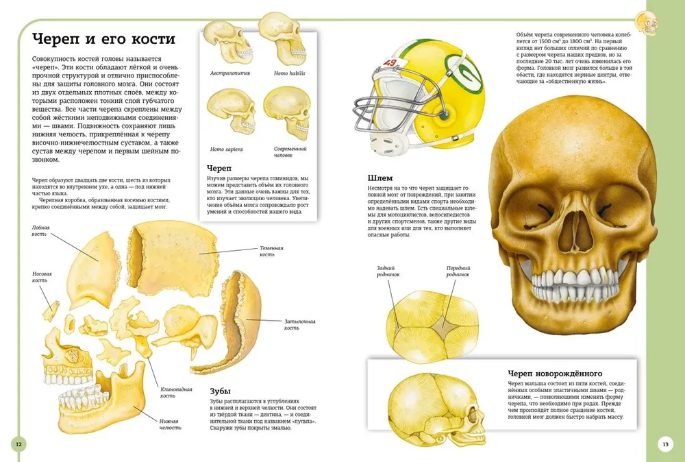 Pierwszy atlas anatomii człowieka