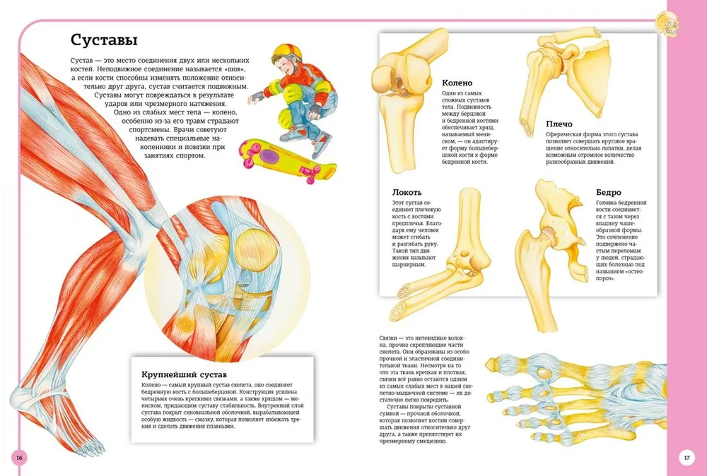 Pierwszy atlas anatomii człowieka