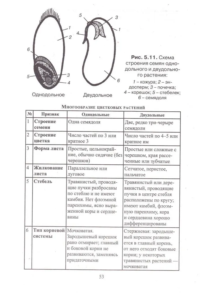 Biologia w tabelach, diagramach i rycinach