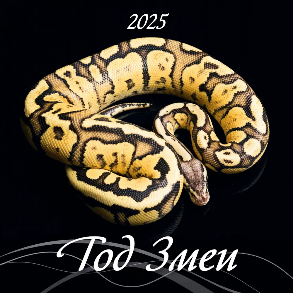 Календарь настенный перекидной "Год Змеи" на 2025 год