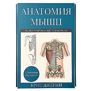 Anatomia mięśni. Ilustrowany podręcznik