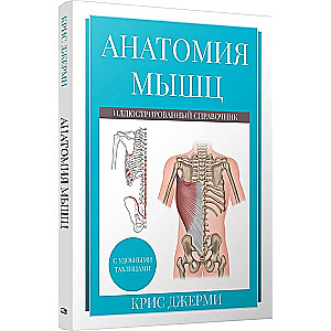 Anatomia mięśni. Ilustrowany podręcznik