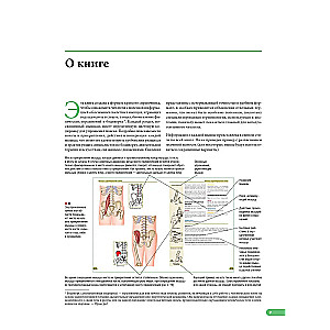 Anatomia mięśni. Ilustrowany podręcznik