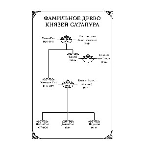 Kamień Księżycowy z Satapur. Książka 2