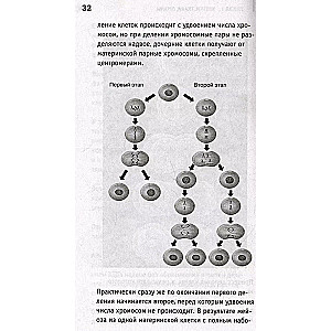 Anatomia. Odsłonięcie mężczyzny