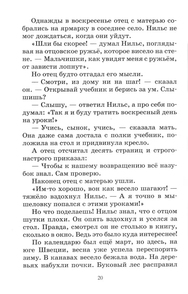 Чудесное путешествие Нильса с дикими гусями. Сказочная повесть