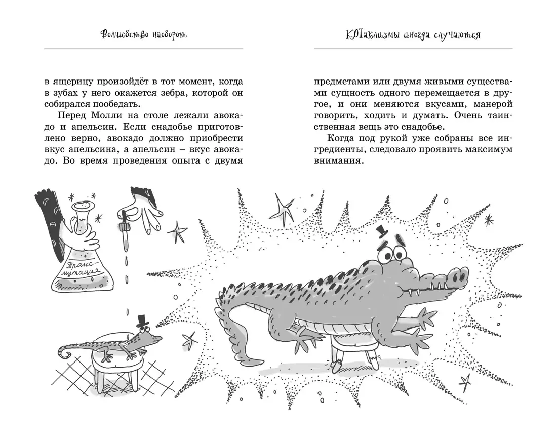 Кот колдуньи Молли. Волшебство наоборот