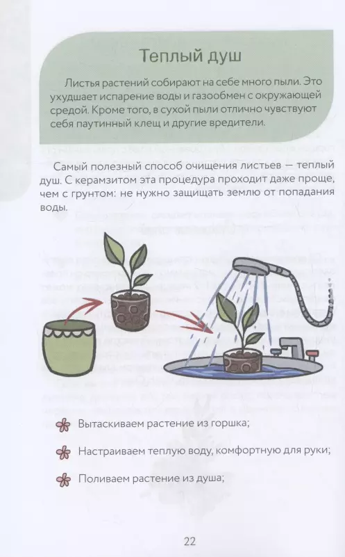 Nietypowa kwiaciarnia. Ściągawka do śledzenia roślin do pielęgnacji roślin domowych w alternatywnej glebie