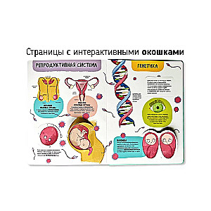 Книга. Мои первые открытия– Человеческое тело