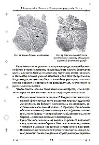 Unikalny wzór losu. Przewodnik po chirologii. Część 2. Poziom mistrzowski