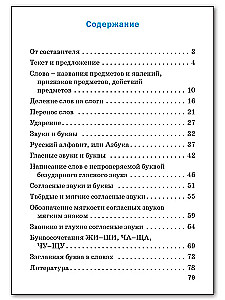 Русский язык. 1 класс. Проверочные и контрольные работы