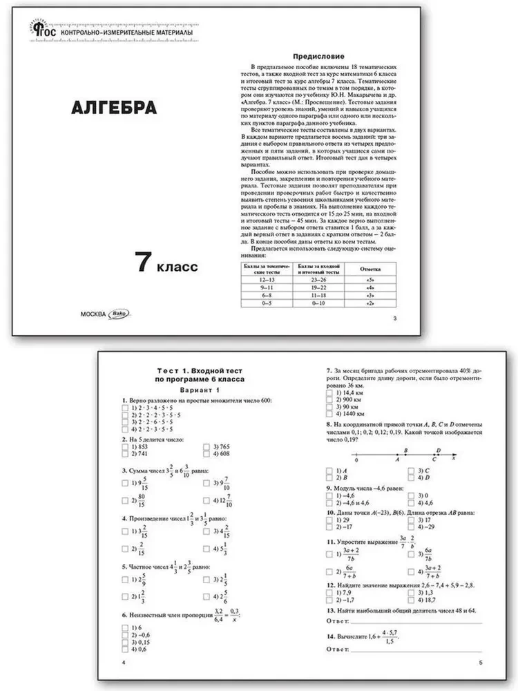 Matematyka. Algebra w klasie 7.