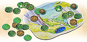 Gra planszowa „Ewolucja. Lot” (dodatek)