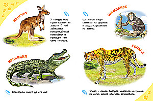 ogród zoologiczny