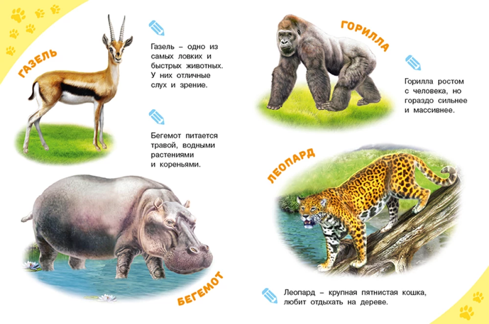 ogród zoologiczny