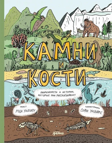 Kamienie i kości. Skamieniałości i historie, które opowiadają