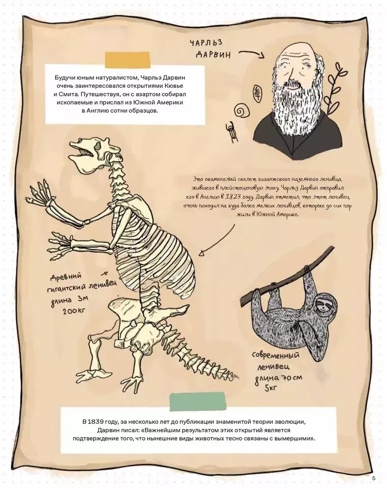 Kamienie i kości. Skamieniałości i historie, które opowiadają