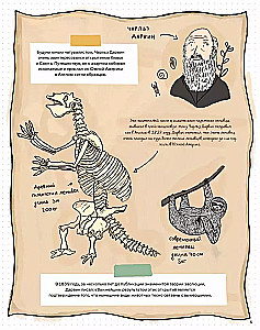 Kamienie i kości. Skamieniałości i historie, które opowiadają