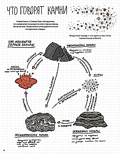 Камни и кости. Окаменелости и истории, которые они рассказывают