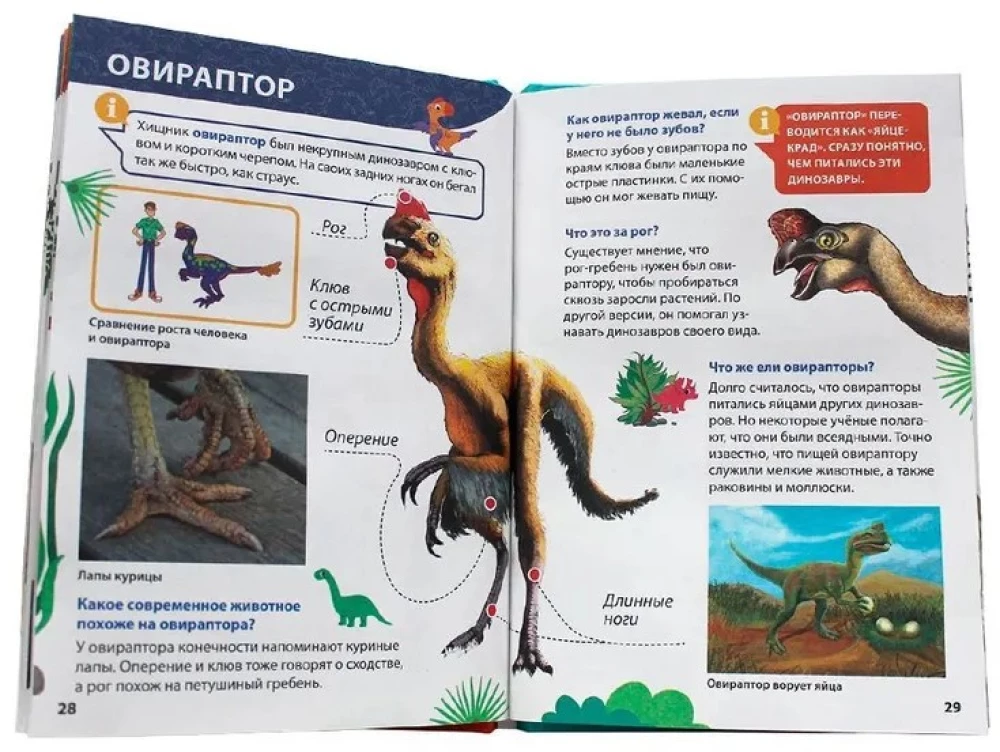 Encyklopedia małych pytań „dlaczego”. Dinozaury