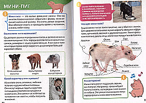 Энциклопедия для маленьких почемучек. Домашние питомцы