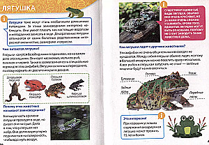 Encyklopedia małych pytań „dlaczego”. Zwierzęta