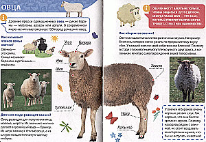 Encyklopedia małych pytań „dlaczego”. Zwierzęta hodowlane