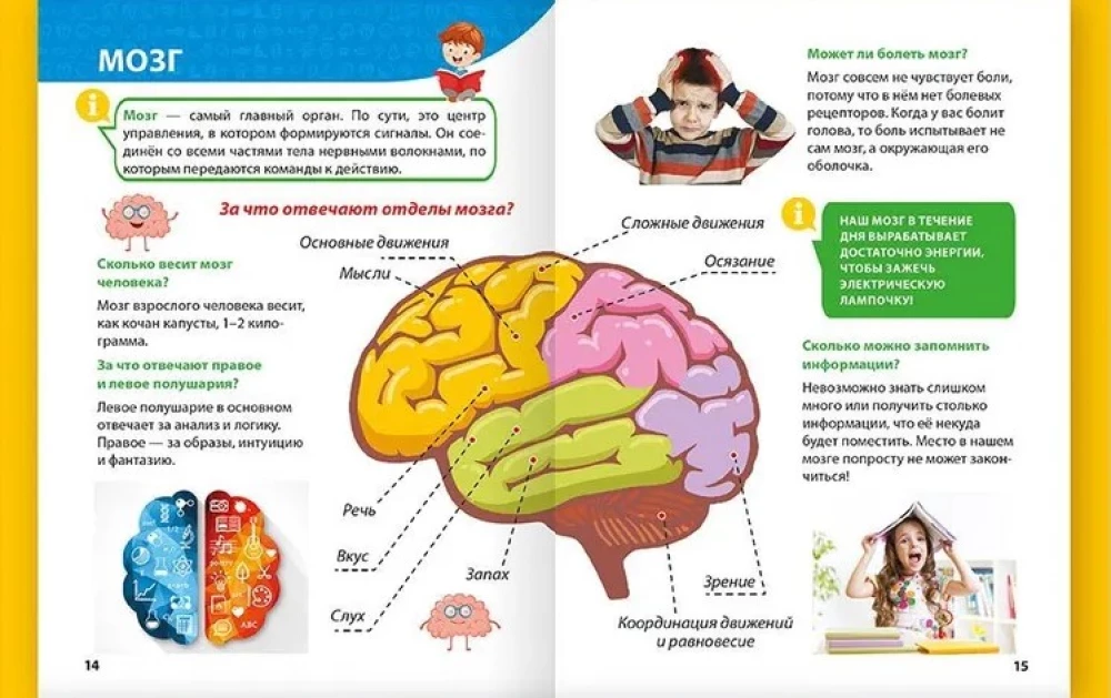 Encyklopedia małych pytań „dlaczego”. Ciało ludzkie