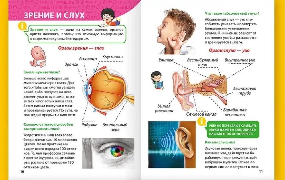 Энциклопедия для маленьких почемучек. Тело человека