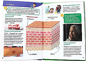 Encyklopedia małych pytań „dlaczego”. Ciało ludzkie