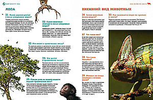 O wszystkim na świecie: od egipskich piramid po samoloty