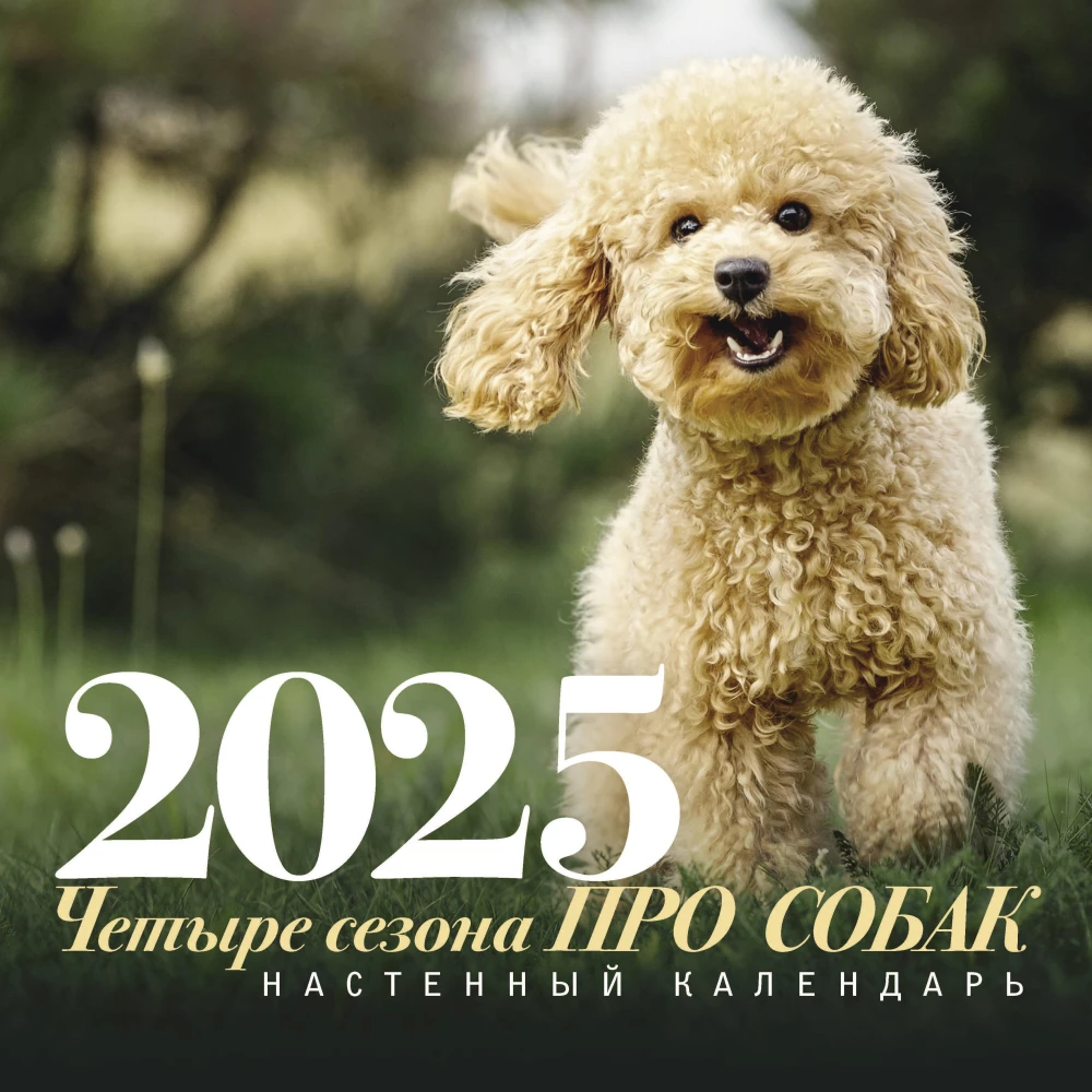 Kalendarz ścienny O psach. Cztery pory roku na rok 2025