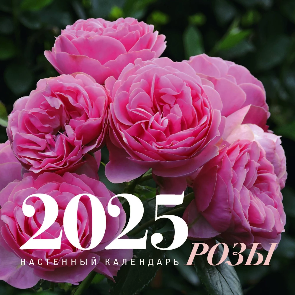 Розы. Настенный календарь на 2025 год