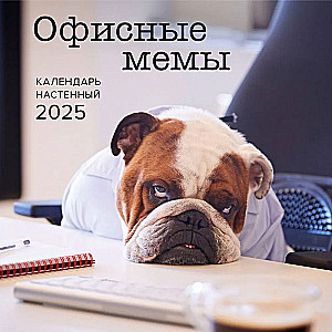 Офисные мемы. Календарь настенный на 2025 год (300х300 мм)