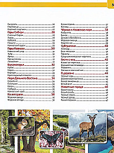 Zwierzęta Rosji. Encyklopedia z zadaniami rozwojowymi