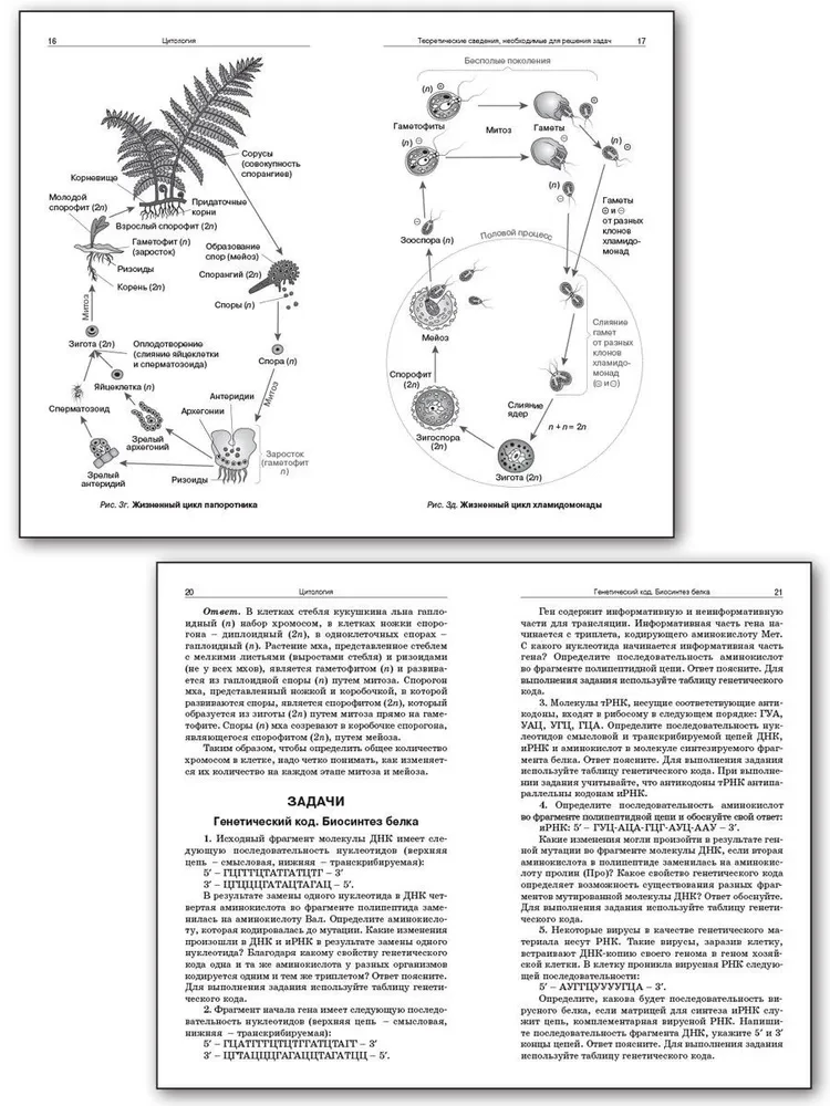 Zbiór zagadnień z cytologii i genetyki. 10-11 klas