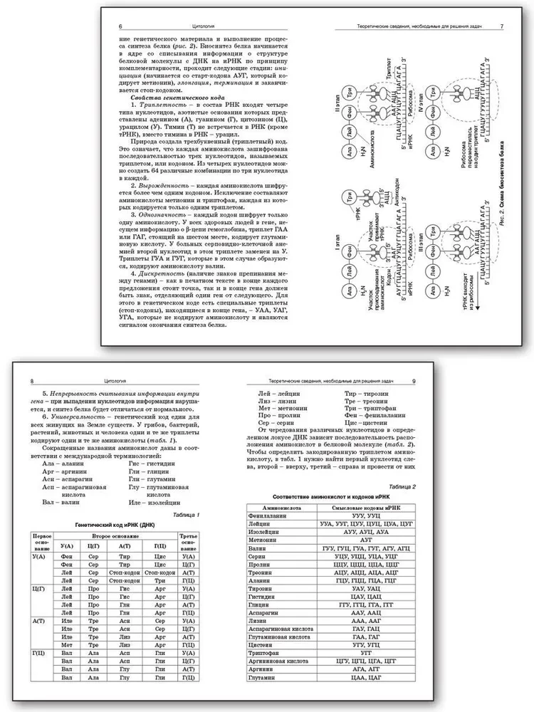 Zbiór zagadnień z cytologii i genetyki. 10-11 klas