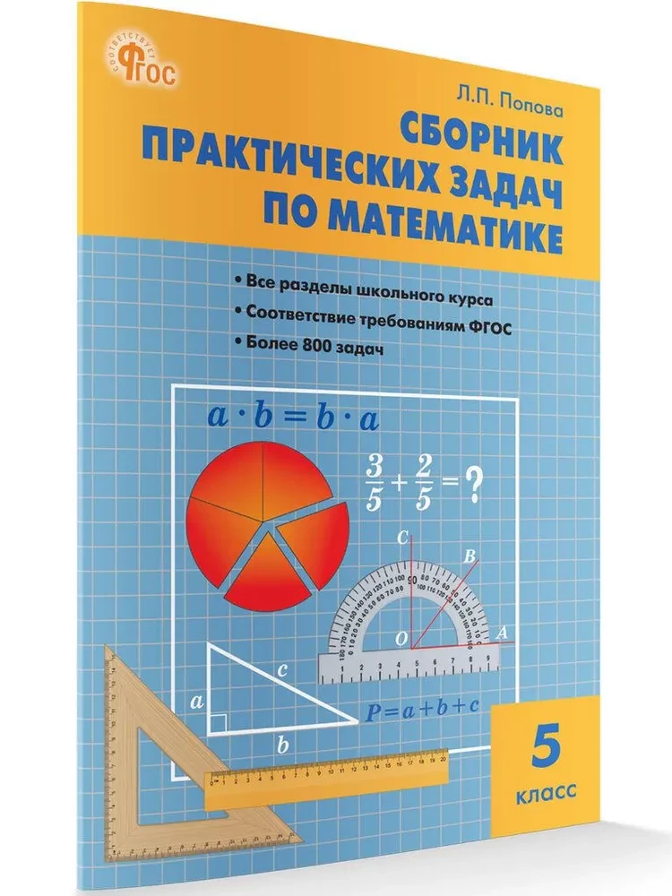 Математика. 5 класс. Сборник практических задач