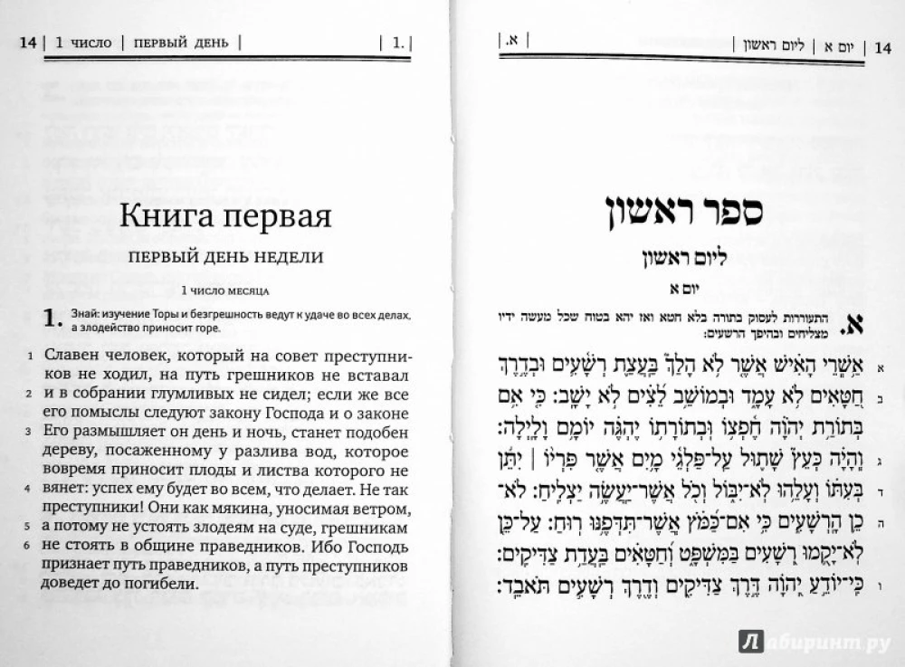 Księga Psalmów Tehillim