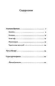 Неслучайные встречи. Анастасия Цветаева, Набоковы, французские вечера