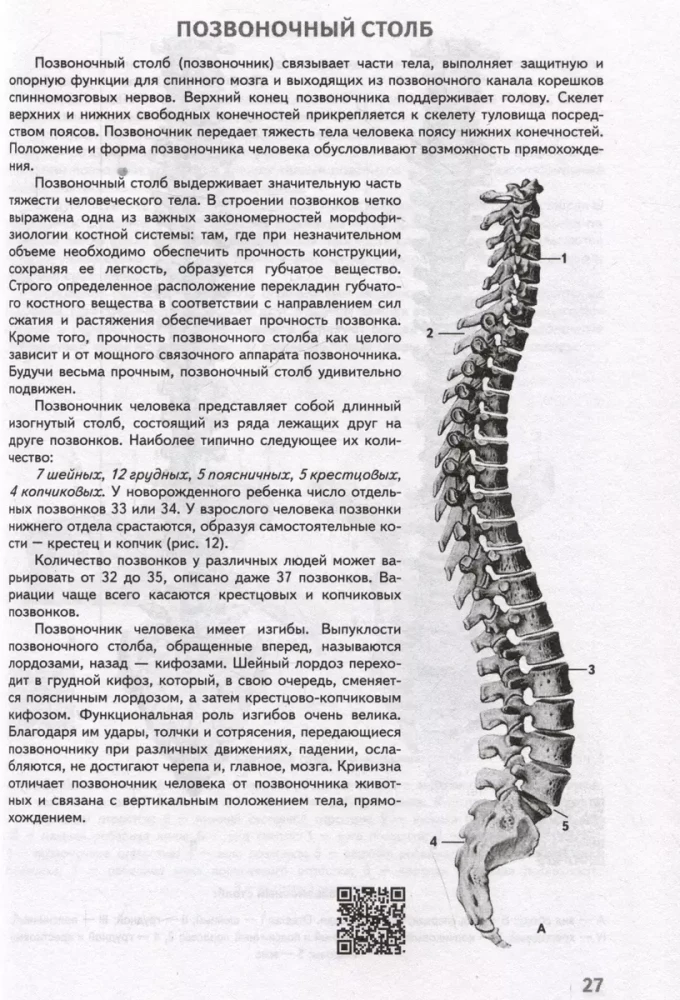 Анатомия человека. Атлас с qr-кодами на цветные изображения