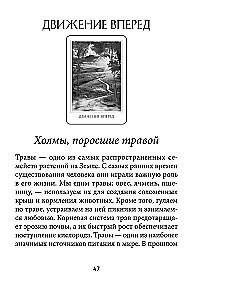 Оракул божественного предназначения (52 карты + инструкция)