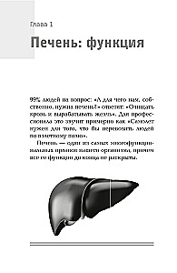 Печень. Все, что нужно знать о ее здоровье