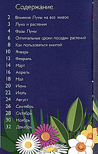 Лунный посевной календарь на 2025 год в самых понятных и удобных цветных таблицах