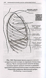 Анатомия человека: Русско-латинский атлас с QR-кодами