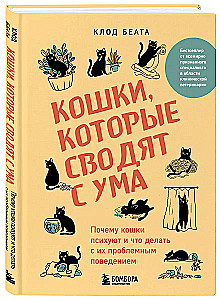 Кошки, которые сводят с ума. Почему кошки психуют и что делать с их проблемным поведением