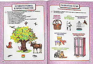 Годовой курс занятий. 5-6 лет.